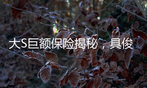 大S巨額保險(xiǎn)揭秘，具俊曄或成受益人，遺產(chǎn)紛爭引發(fā)關(guān)注