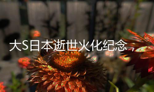 大S日本逝世火化紀念，回顧其傳奇人生與深遠影響（標題）