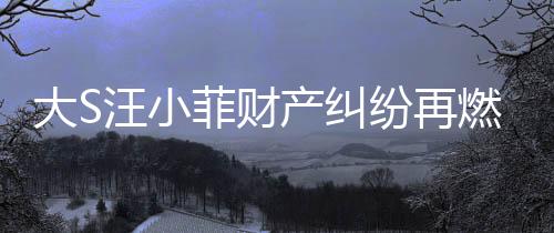 大S汪小菲財(cái)產(chǎn)糾紛再燃，昔日恩怨衍生七百萬爭議仍存爭議之中