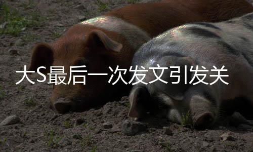 大S最后一次發(fā)文引發(fā)關(guān)注，內(nèi)容竟是關(guān)于具俊曄的深情告白