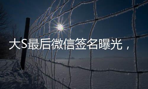 大S最后微信簽名曝光，揭秘背后故事與情感波折