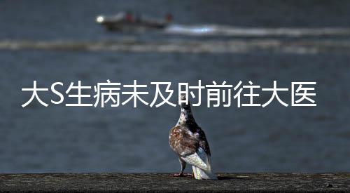 大S生病未及時前往大醫(yī)院，引發(fā)關注與熱議