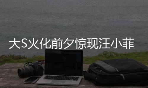 大S火化前夕驚現(xiàn)汪小菲電話風(fēng)波，憤怒咆哮背后的復(fù)雜情感糾葛
