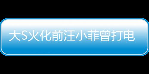 大S火化前汪小菲曾打電話大罵S媽，內幕曝光引熱議