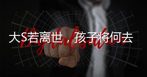 大S若離世，孩子將何去何從？家庭情感與未來之路探尋