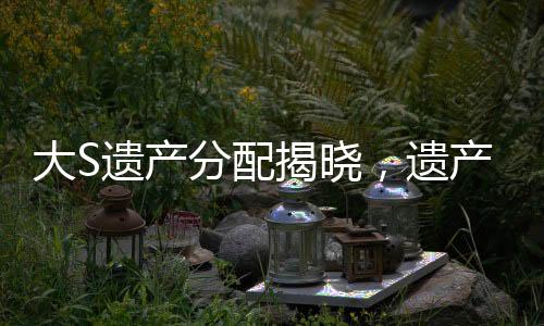 大S遺產(chǎn)分配揭曉，遺產(chǎn)將由具俊曄及兒女共同繼承