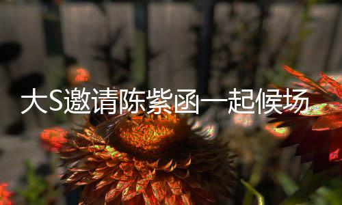 大S邀請陳紫函一起候場，星光閃耀的嘉賓碰撞引發(fā)期待