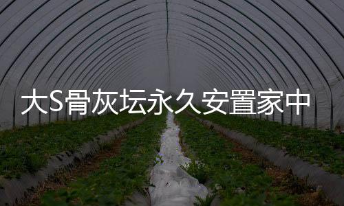 大S骨灰壇永久安置家中，緬懷之星永爍人心