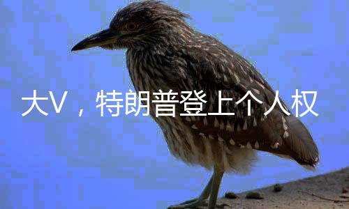 大V，特朗普登上個人權(quán)力的巔峰