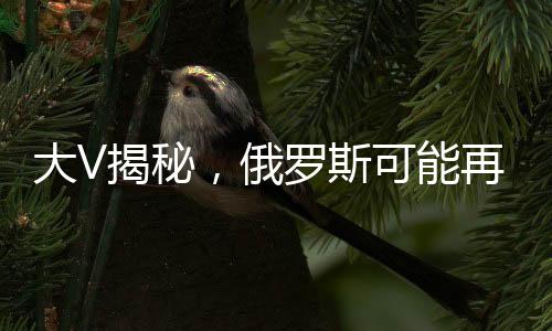 大V揭秘，俄羅斯可能再度利用蘇-57戰(zhàn)機從印度騙錢