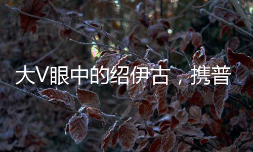 大V眼中的紹伊古，攜普京重托而來，展現(xiàn)俄中友好新篇章