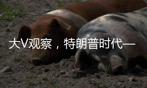 大V觀察，特朗普時(shí)代——美國(guó)近三十年布局灰飛煙滅