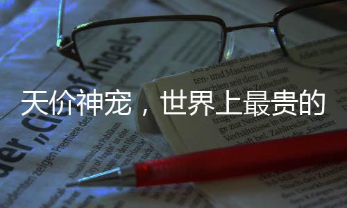 天價神寵，世界上最貴的狗以570萬美元成交