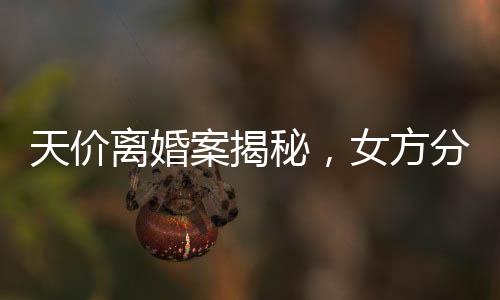 天價離婚案揭秘，女方分獲巨額財產(chǎn)，四億天價究竟有何內(nèi)幕？