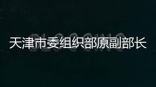 天津市委組織部原副部長李洪偉被查，揭示違紀(jì)背后的故事