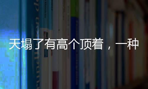 天塌了有高個(gè)頂著，一種社會(huì)現(xiàn)象的具象化解讀