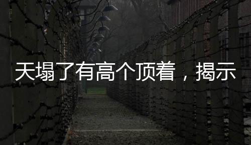 天塌了有高個頂著，揭示社會中的責(zé)任與擔(dān)當(dāng)具象化現(xiàn)象