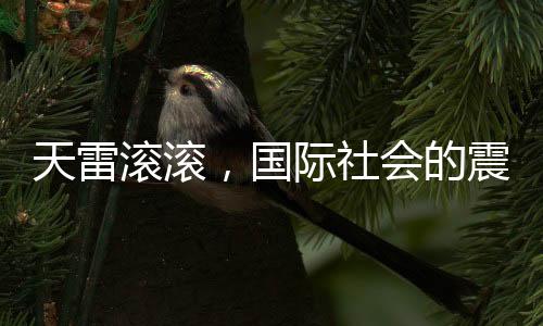 天雷滾滾，國(guó)際社會(huì)的震動(dòng)與反響——傳聞傳入聯(lián)合國(guó)
