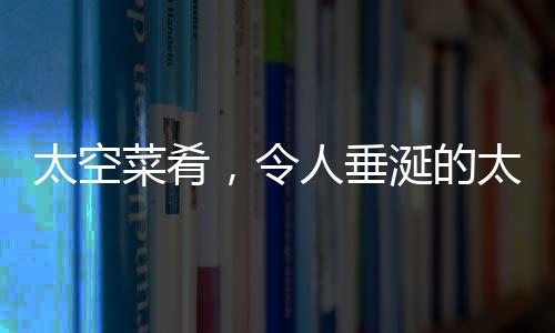 太空菜肴，令人垂涎的太空美食探索之旅