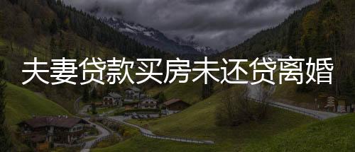 夫妻貸款買房未還貸離婚后共擔(dān)責(zé)，深度解析背后的法律問題