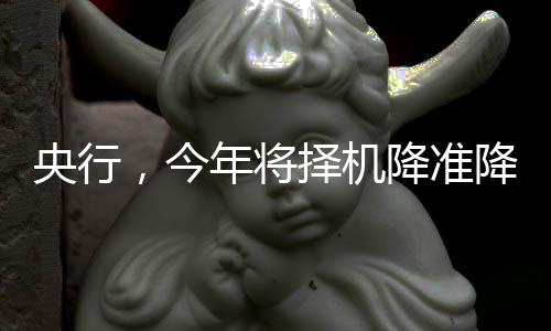 央行，今年將擇機(jī)降準(zhǔn)降息，政策調(diào)整助力經(jīng)濟(jì)穩(wěn)定與發(fā)展