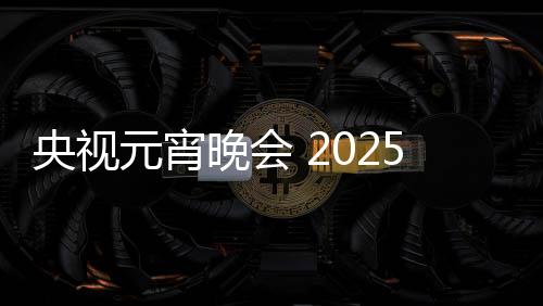 央視元宵晚會(huì) 2025年璀璨之夜的文化盛宴——熱烈慶祝元宵節(jié)盛景