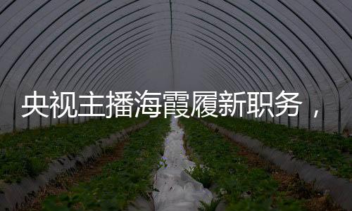 央視主播海霞履新職務(wù)，新角色新挑戰(zhàn)
