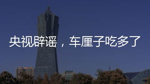 央視辟謠，車厘子吃多了會中毒？一文帶你認清真相