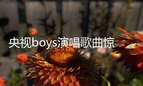 央視boys演唱歌曲驚現(xiàn)易錯字，網(wǎng)友熱議引關(guān)注