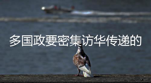 多國政要密集訪華傳遞的多重信號(hào)，國際交流的全新格局展現(xiàn)于世