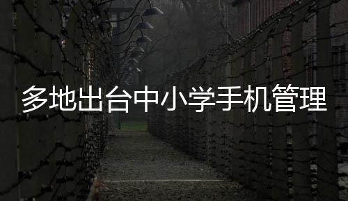 多地出臺中小學(xué)手機管理禁令，共同守護青少年健康成長