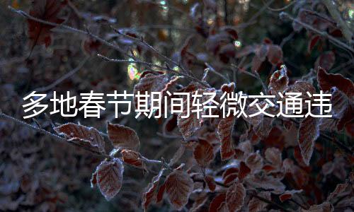 多地春節(jié)期間輕微交通違法不處罰，倡導和諧節(jié)日氛圍
