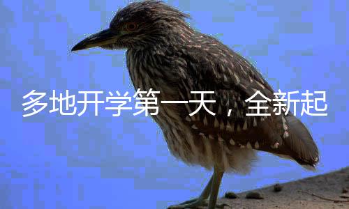 多地開學(xué)第一天，全新起點，期待與現(xiàn)實的交織