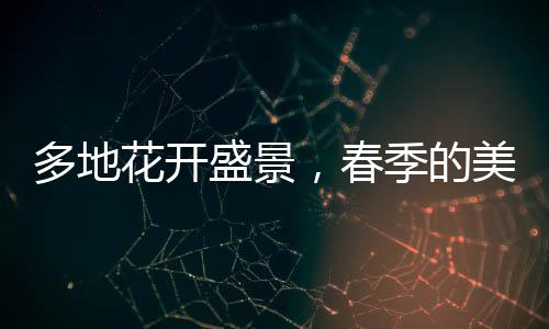 多地花開盛景，春季的美麗畫卷正悄然展開
