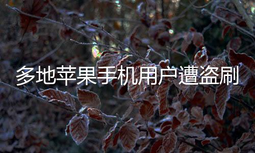 多地蘋果手機用戶遭盜刷，引發(fā)關注熱議