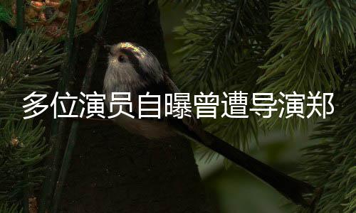 多位演員自曝曾遭導(dǎo)演鄭某峰侵害，行業(yè)內(nèi)部的黑暗與呼吁正義的心聲