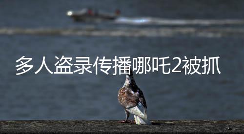 多人盜錄傳播哪吒2被抓，維護(hù)版權(quán)，共建文化繁榮