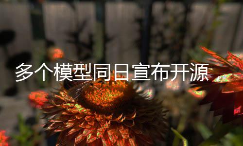 多個模型同日宣布開源，推動技術(shù)生態(tài)繁榮發(fā)展