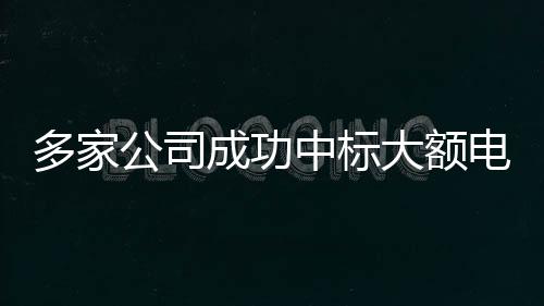 多家公司成功中標(biāo)大額電網(wǎng)采購(gòu)訂單，推動(dòng)能源領(lǐng)域合作邁向新高度