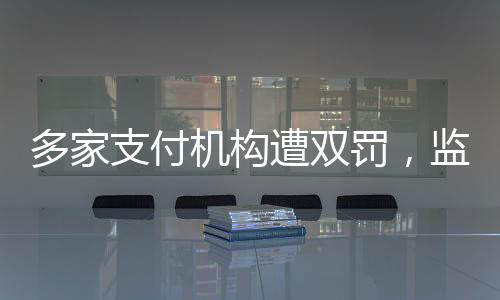 多家支付機(jī)構(gòu)遭雙罰，監(jiān)管風(fēng)暴來襲