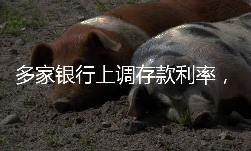 多家銀行上調(diào)存款利率，新策略下的金融市場分析