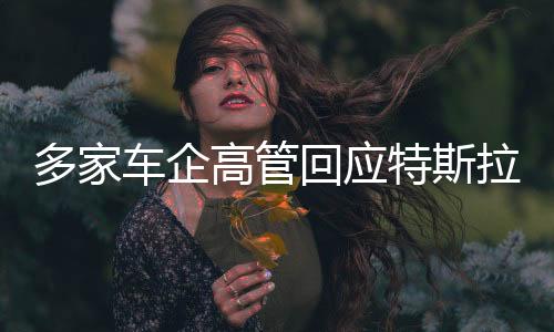 多家車企高管回應(yīng)特斯拉FSD入華，行業(yè)內(nèi)的不同聲音與應(yīng)對策略