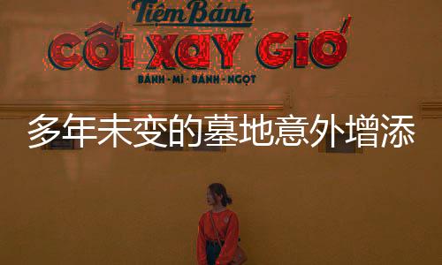 多年未變的墓地意外增添新墳，鄉(xiāng)村墓葬現(xiàn)象的觀察與反思