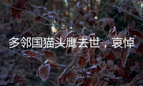 多鄰國貓頭鷹去世，哀悼一位無聲的守護(hù)者
