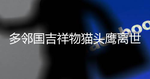 多鄰國吉祥物貓頭鷹離世，引發(fā)廣泛哀思