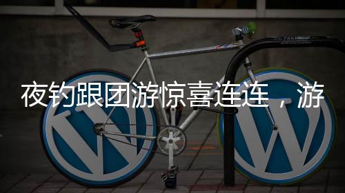 夜釣跟團(tuán)游驚喜連連，游客偶遇大型魚群