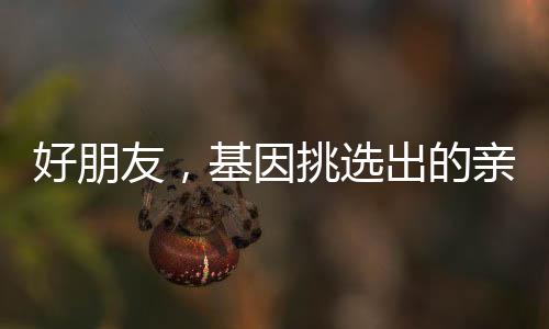 好朋友，基因挑選出的親人