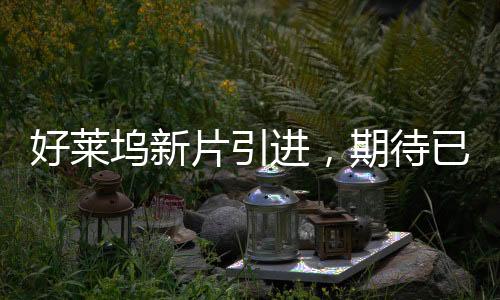 好萊塢新片引進，期待已久的大片盛宴即將上演