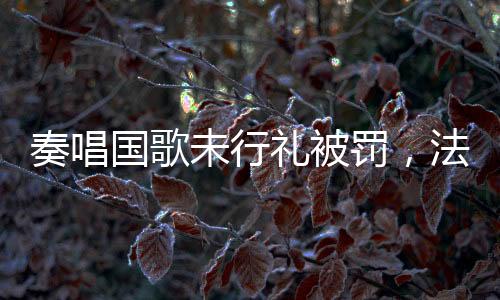 奏唱國歌未行禮被罰，法律意識(shí)的覺醒與社會(huì)責(zé)任的體現(xiàn)