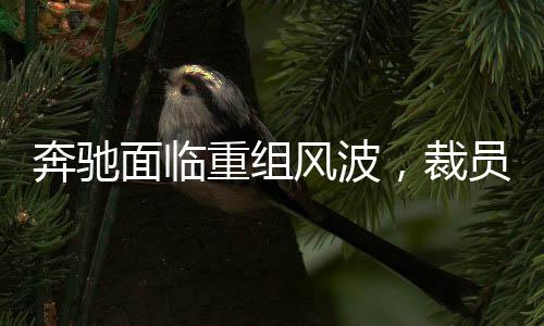 奔馳面臨重組風(fēng)波，裁員15%賠償N+9政策揭秘